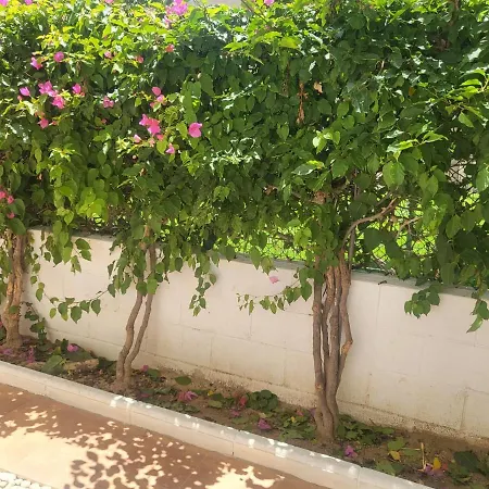 ¡bajo Precioso Con Salida Directa A La Piscina Comunitaria En Paraiso De Vera! * Vera