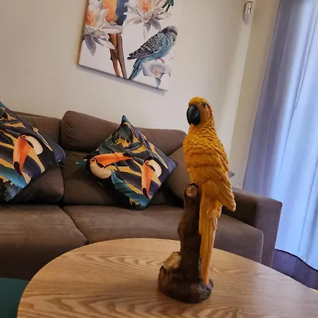 ¡bajo Precioso Con Salida Directa A La Piscina Comunitaria En Paraiso De Vera! Apartment Vera